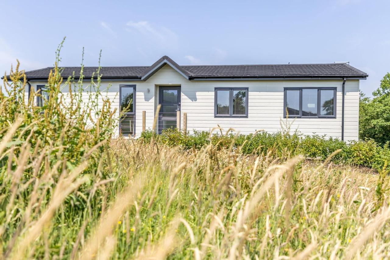 Rose Lodge, 21 Roadford Lake Lodges Lifton Exterior foto